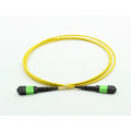 Cable de conexión de fibra óptica MPO